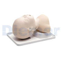 Cabeza Intubacion Bebe 